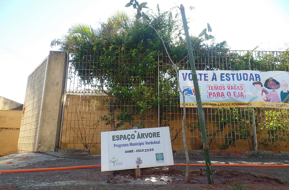 Escolas municipais recebem programa de arborização urbana