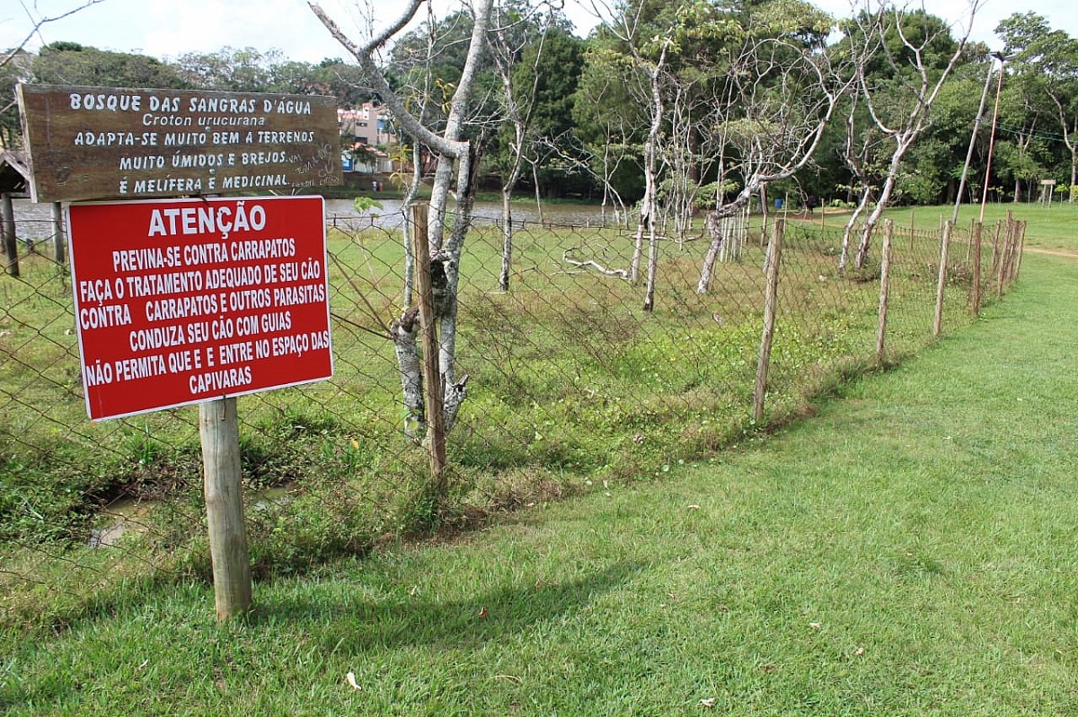 Cerca no Horto Florestal evita contato entre capivaras e frequentadores da reserva