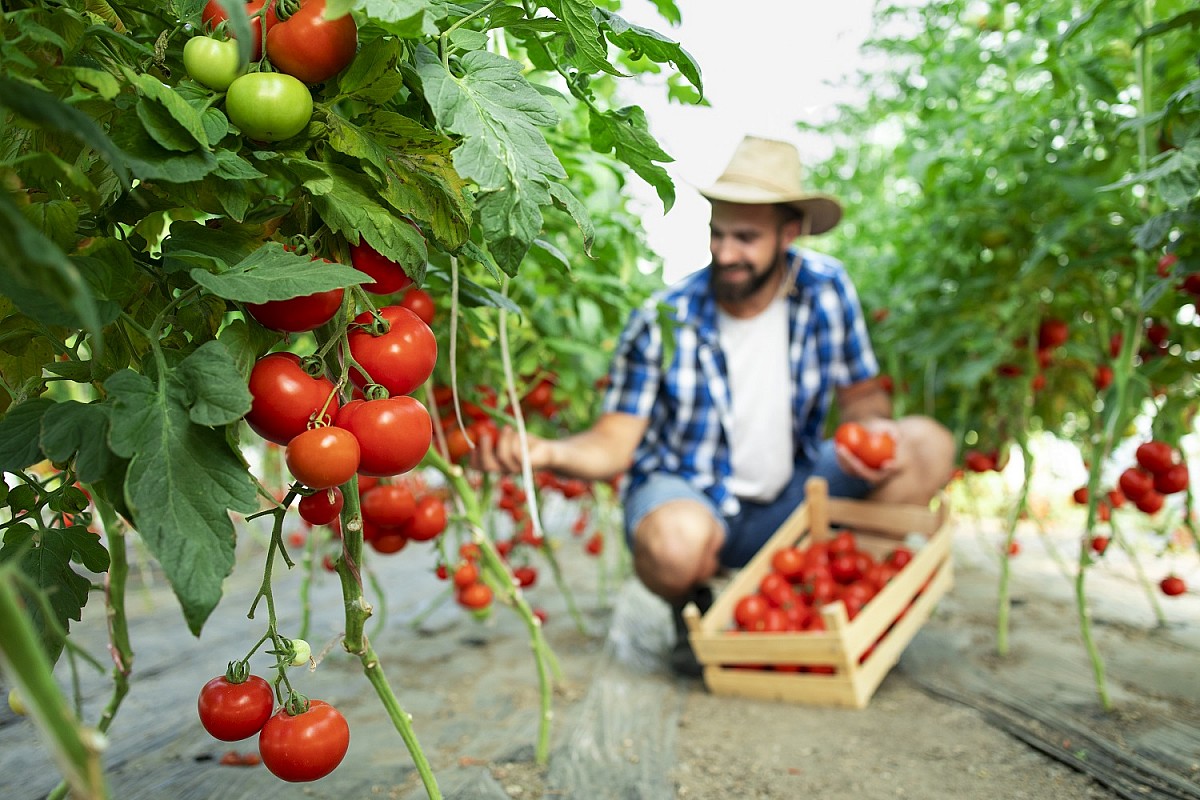 Projeto “Jovem Agricultor do Futuro” está com inscrições abertas