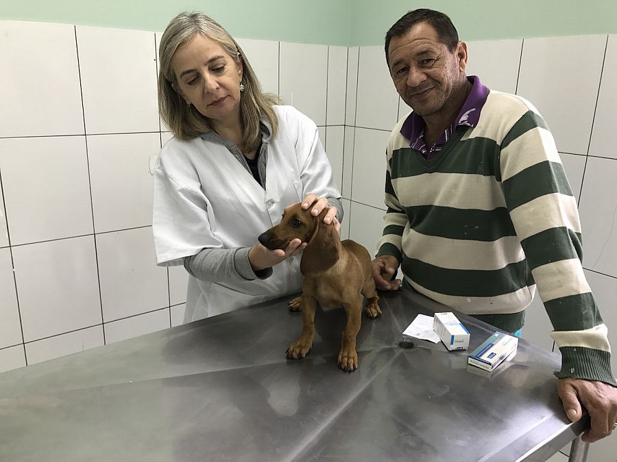 Reaberta Clínica Veterinária da Prefeitura