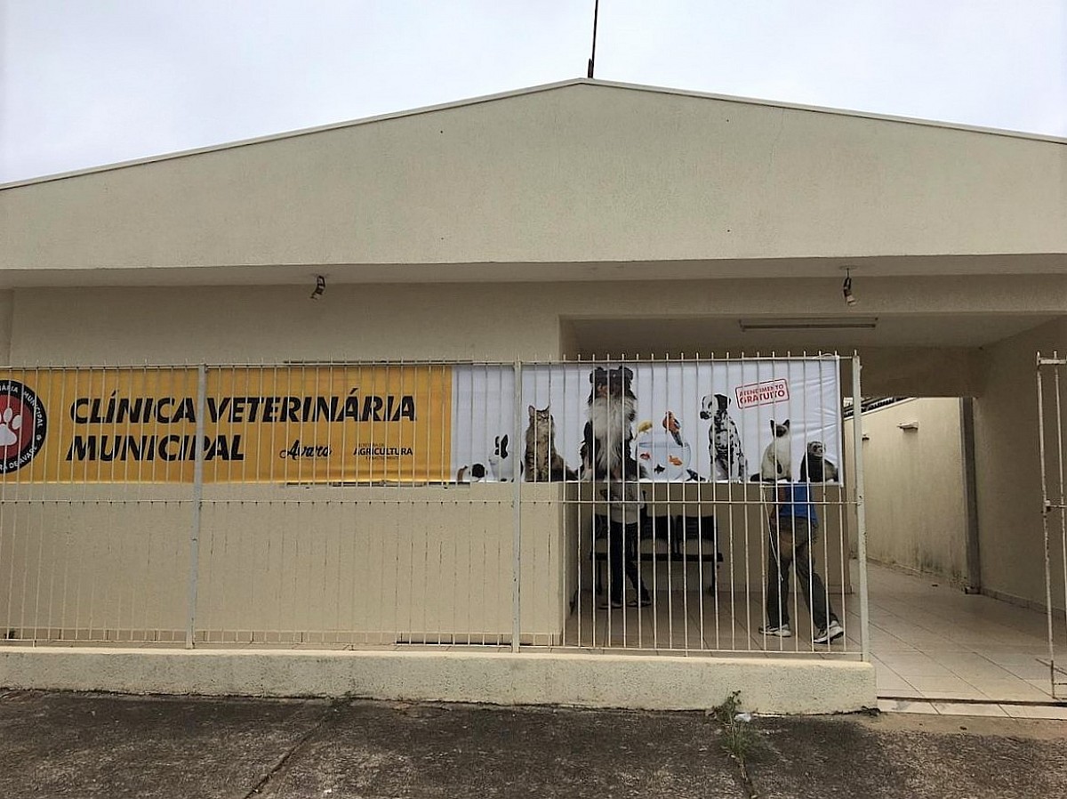 Clínica Veterinária reabre em outubro agendamento para castrações