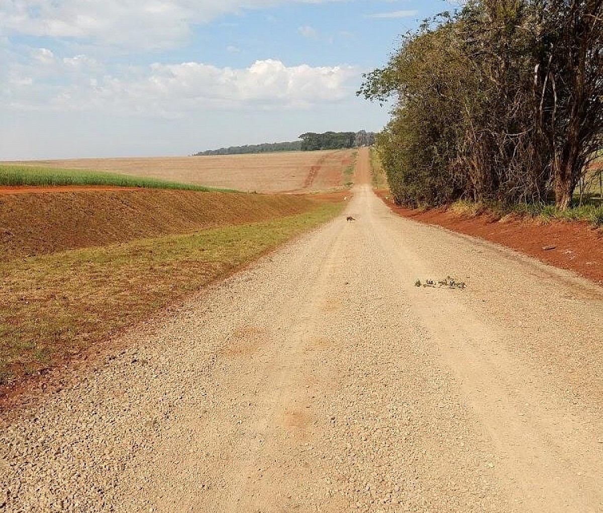 Município prepara obra em vicinal que será asfaltada por meio de parceria