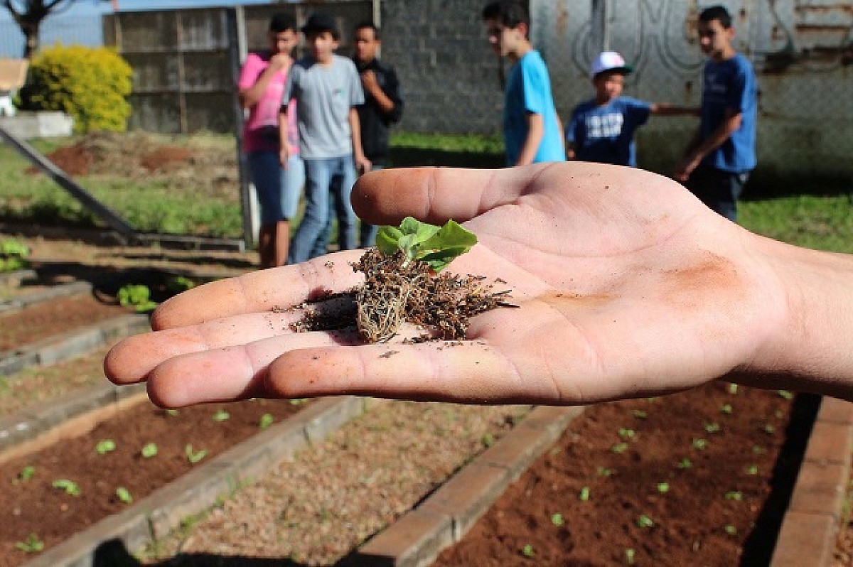 Inscrições abertas para o Jovem Agricultor do Futuro