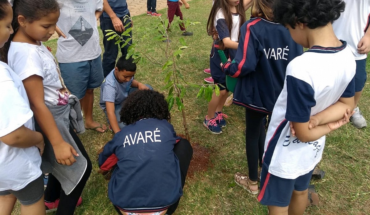 Alunos e moradores plantam mudas em praça no Bairro Alto