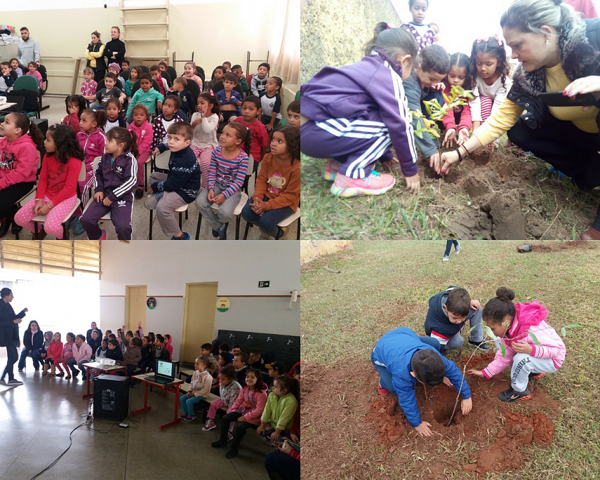 Educação promove responsabilidade ambiental