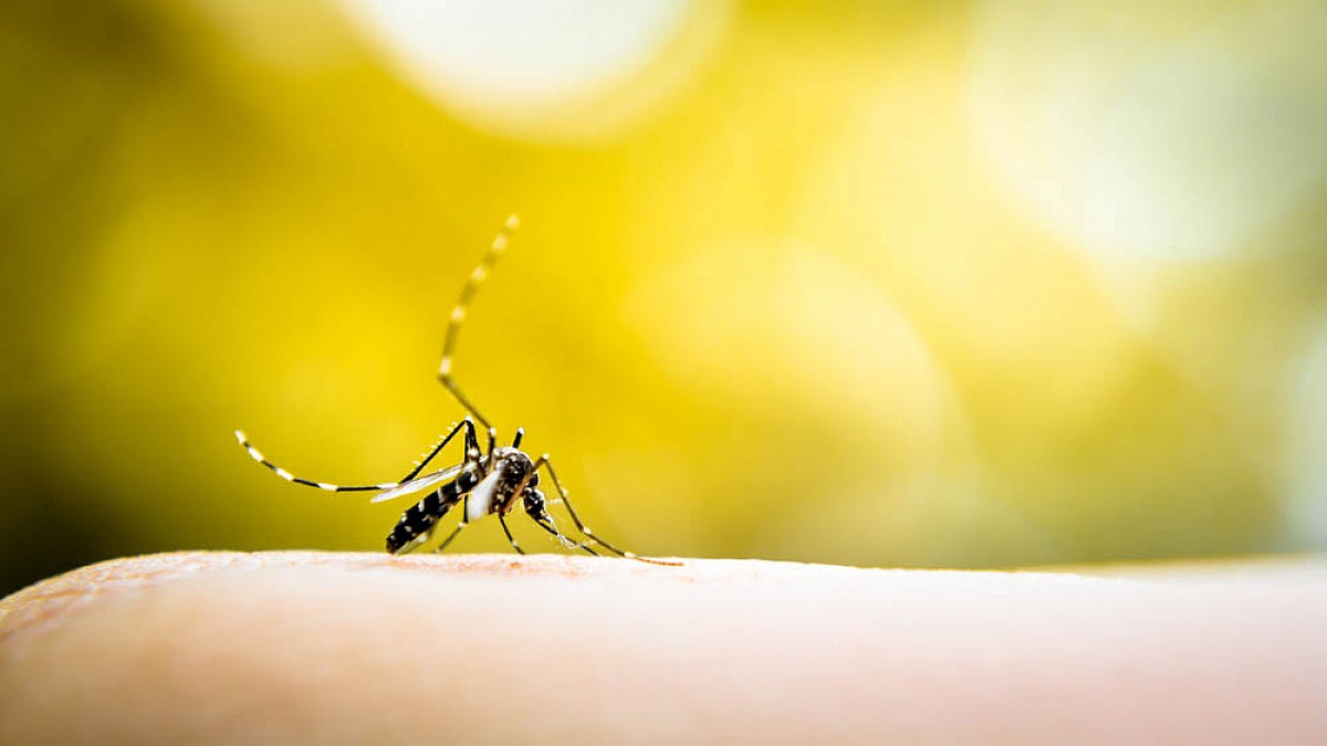 Mobilização contra dengue leva várias atividades ao Jardim Paineiras