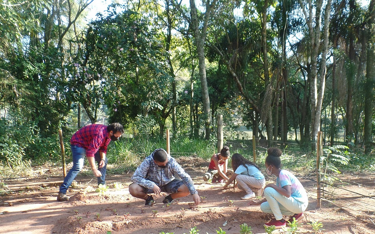 Projeto do Meio Ambiente cria horta orgânica no Horto Florestal