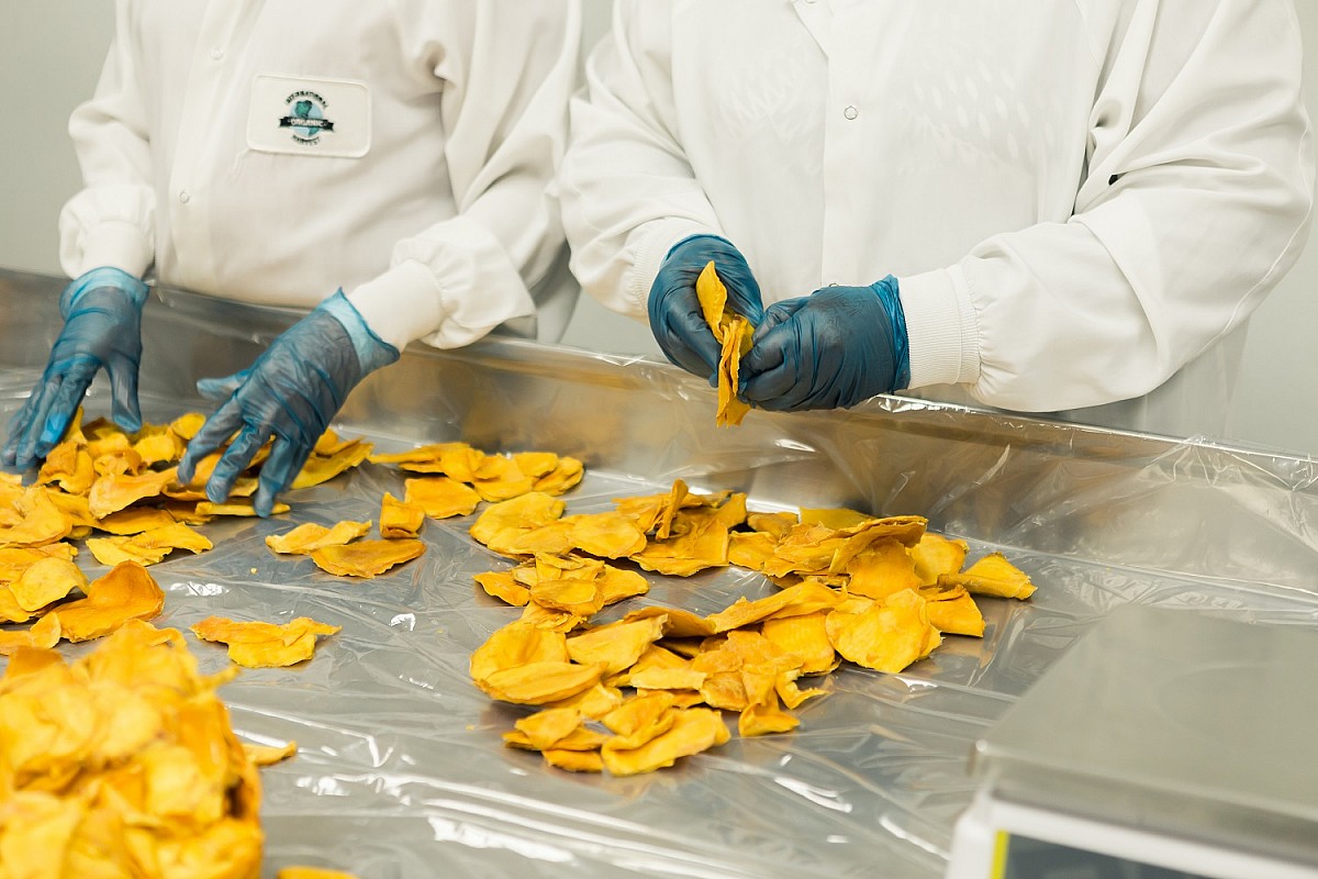 Curso gratuito ensina boas práticas na fabricação de alimentos