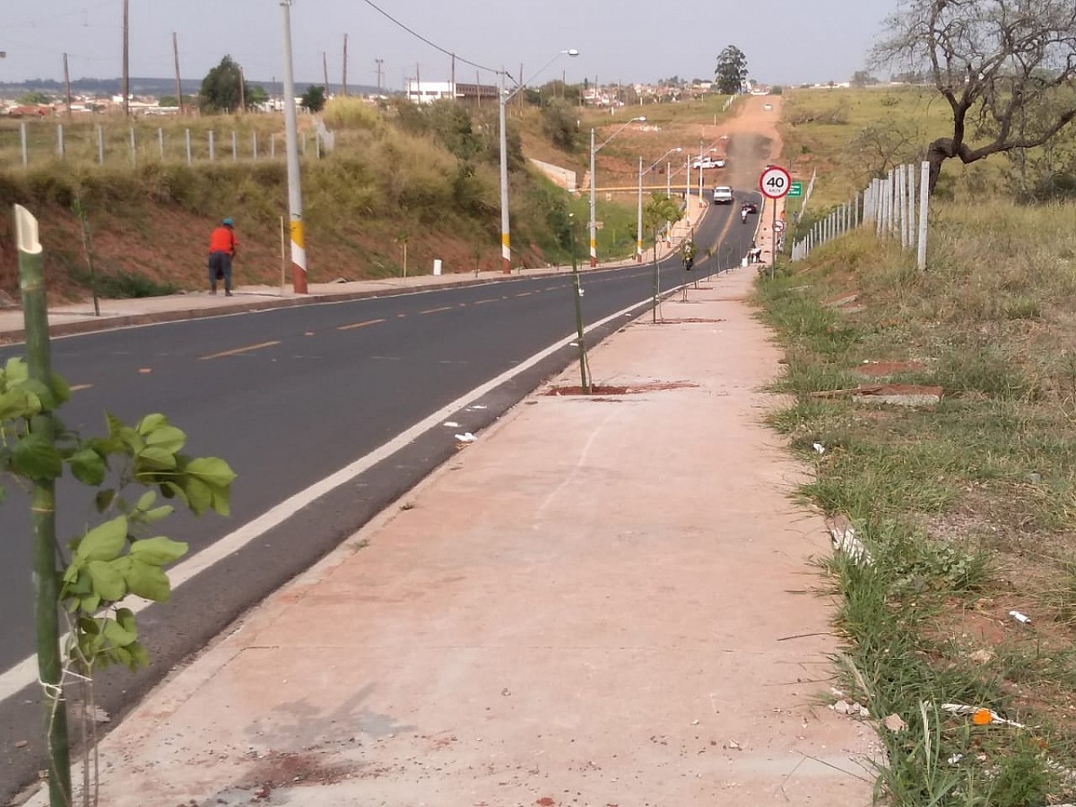 Projeto cria corredor verde em avenida da Vila Jardim