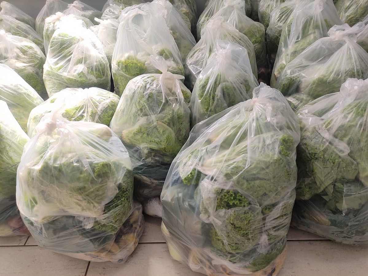 CRAS distribui cestas verdes para população vulnerável