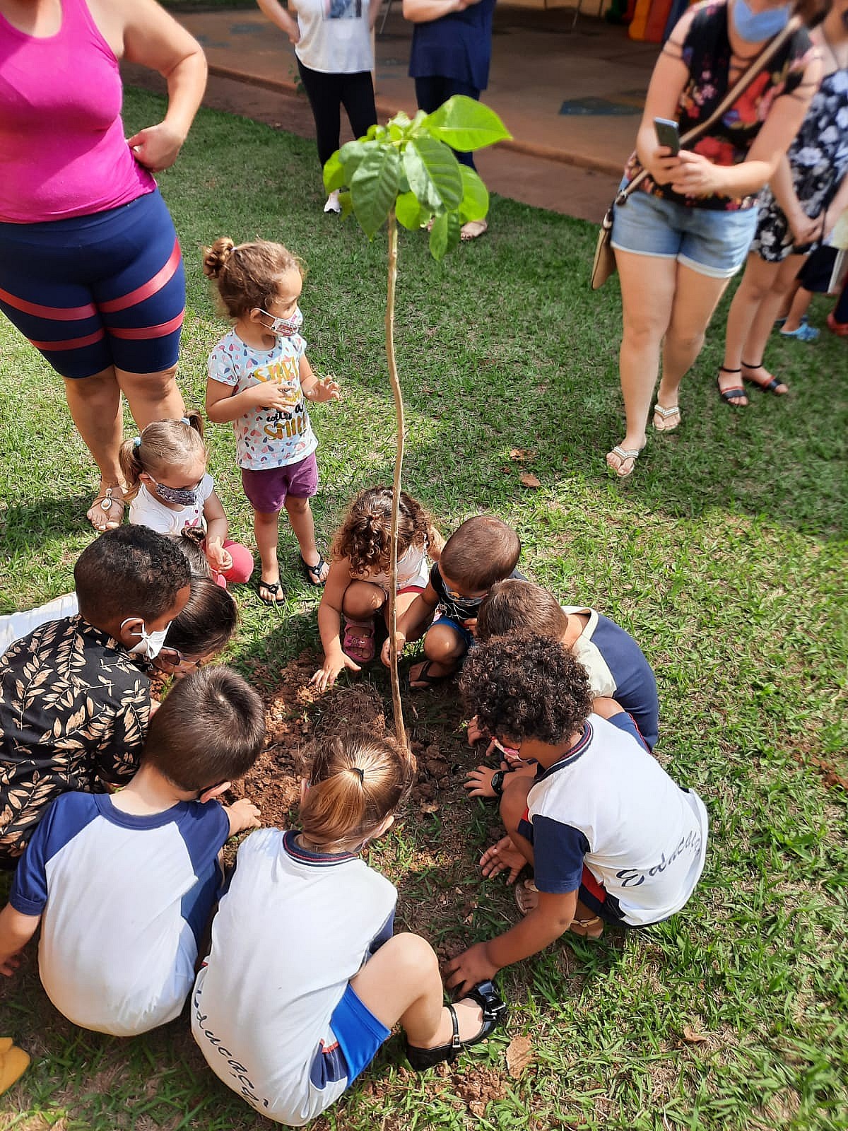 Dia da Árvore é celebrado com plantio de mudas