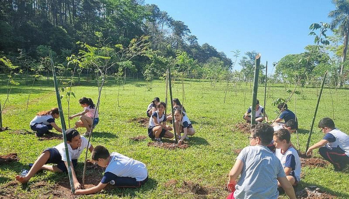 Meio Ambiente encerra ano com certificado em programa de gestão ambiental