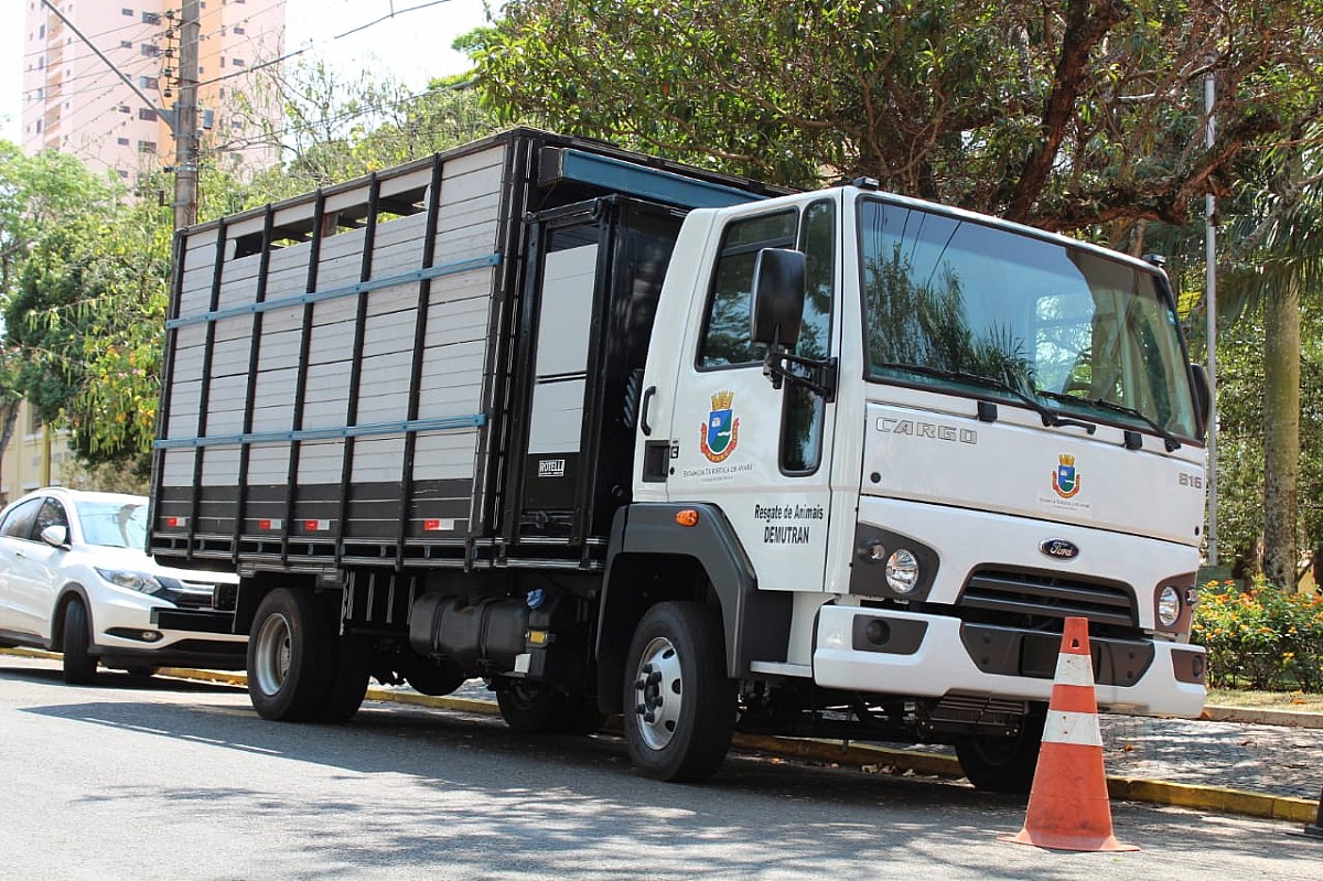 Prefeitura adapta caminhão para o resgate de animais