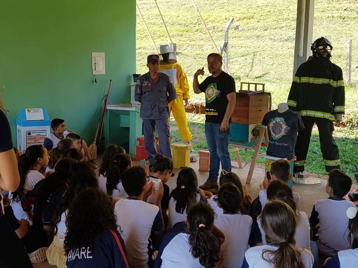 Palestra destaca importância das abelhas para manutenção do ecossistema