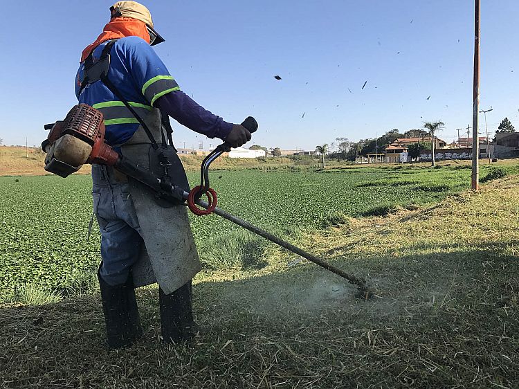 Iniciado o combate aos pernilongos