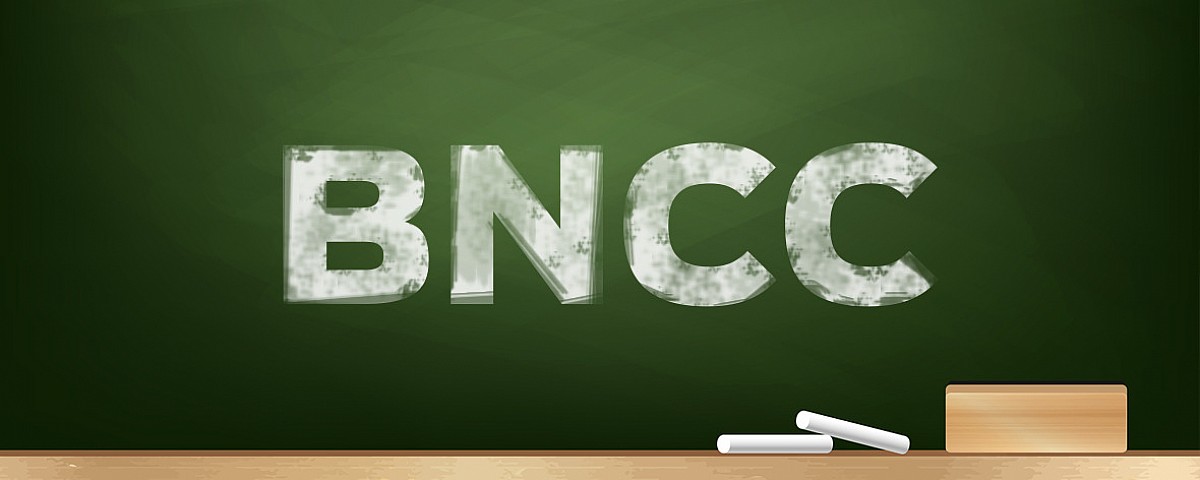Secretaria promove debate sobre diretrizes da BNCC