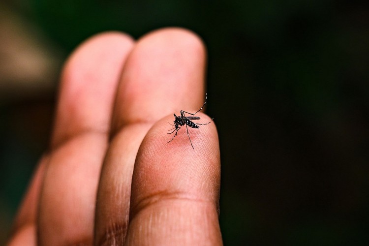 Ambulatório de Dengue registra quase 400 atendimentos em poucos dias de atividade