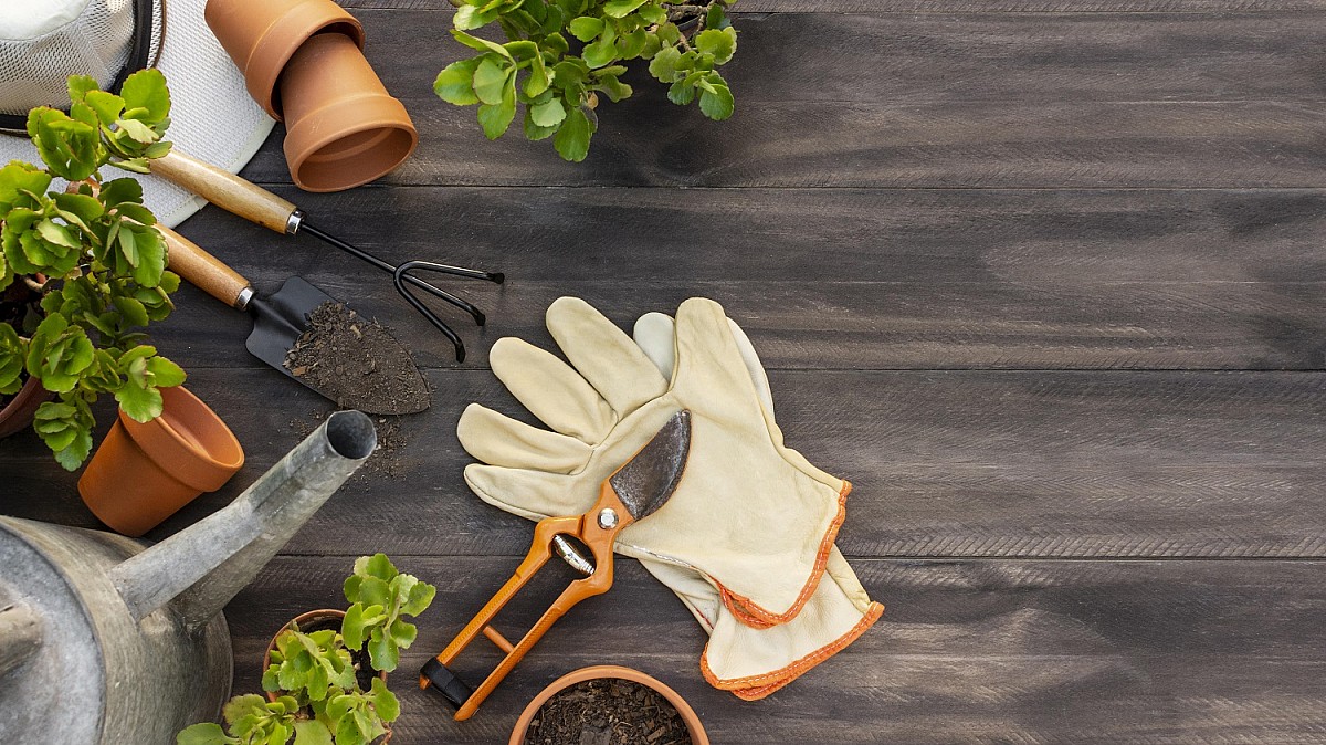 Curso “Seja um Jardineiro Profissional” está com inscrições abertas