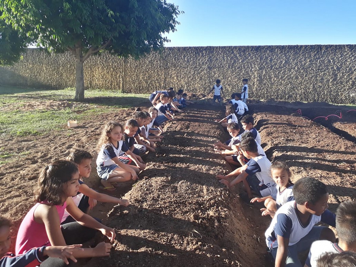 Projeto Horta Educativa mobiliza alunos e pais da escola “Carlos Papa”