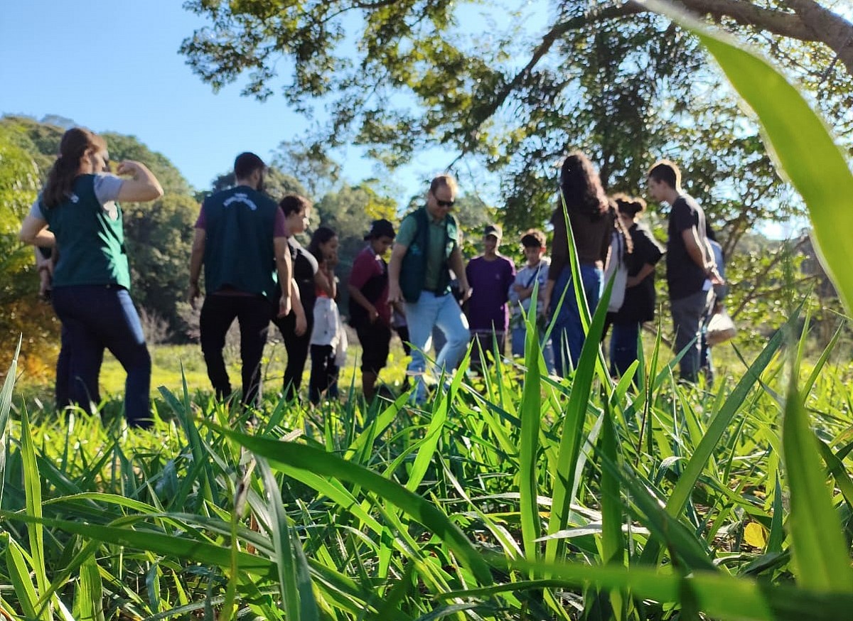 Alunos participam do plantio de mudas nativas no Horto Florestal