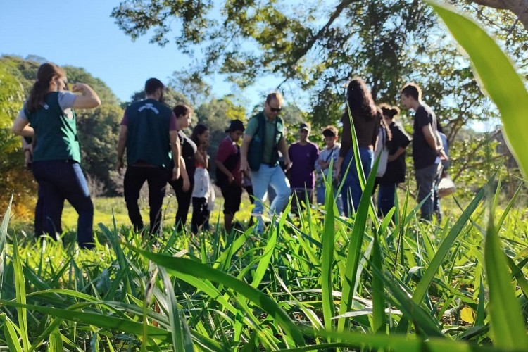Alunos participam do plantio de mudas nativas no Horto Florestal