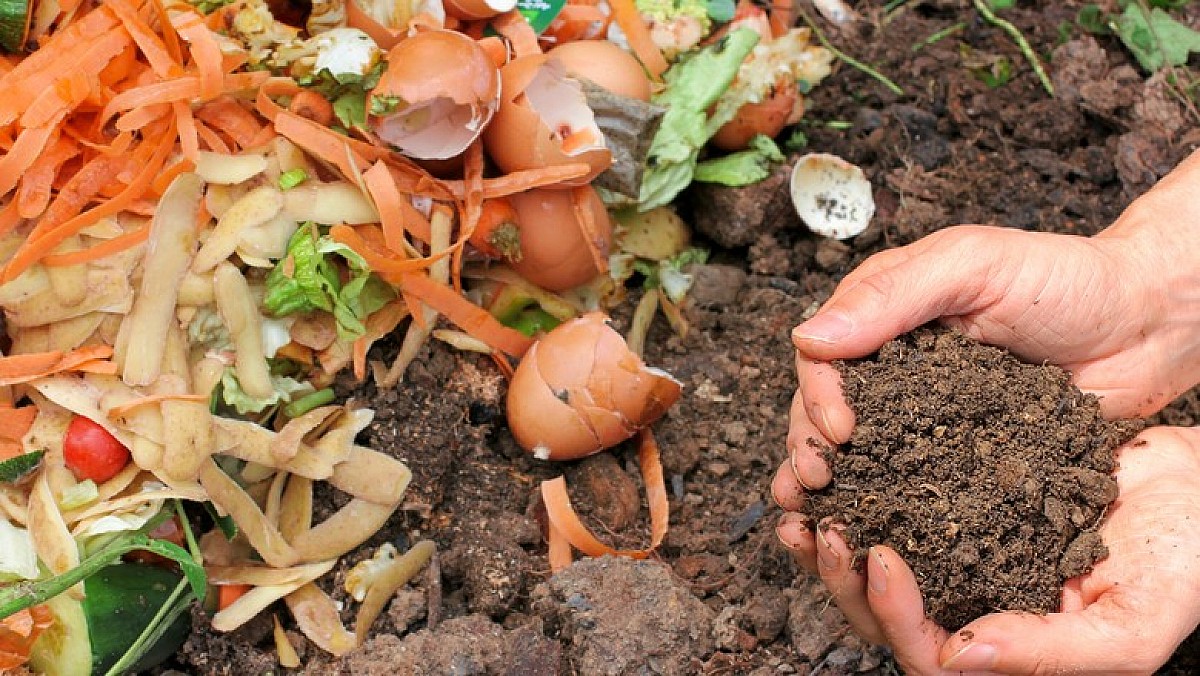 Curso gratuito de compostagem está com inscrições abertas