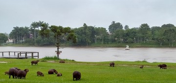 Secretaria reforça medidas para controle de carrapatos no Horto Florestal