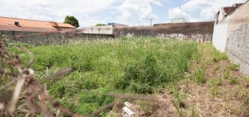 Terreno com mato alto e sem calçada pode gerar multa