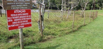 Cerca no Horto Florestal evita contato entre capivaras e frequentadores da reserva