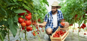 Projeto “Jovem Agricultor do Futuro” está com inscrições abertas