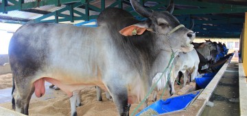 Capacitação e apoio a produtores rurais foram foco da Agricultura