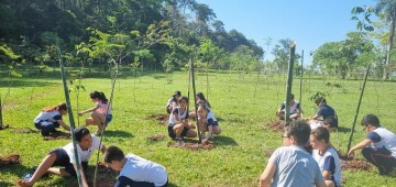 Dia da Árvore é comemorado com plantio de mudas no Horto Florestal