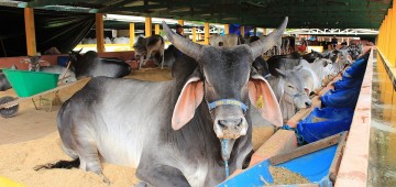 Avaré recebeu prêmio do Programa Município Agro