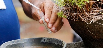 São Rogério: mutirão contra dengue começa neste sábado, 3