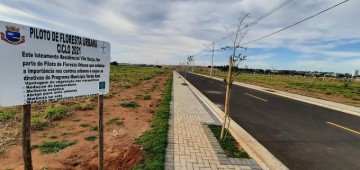 Avaré ganha novo piloto de Floresta Urbana