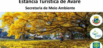 Cartilha sobre arborização urbana está disponível no site da Prefeitura