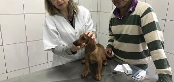 Reaberta Clínica Veterinária da Prefeitura