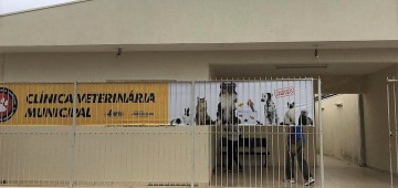 Clínica Veterinária reabre em outubro agendamento para castrações