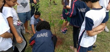 Novo sistema de coleta e ações educativas foram destaque em 2019