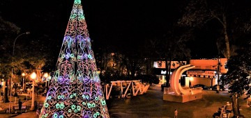 Árvore de Natal gigante é atração no Largo São João