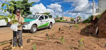 Área de descarte de lixo é revitalizada com ajuda da comunidade