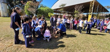 Dia Mundial do Meio Ambiente é celebrado em escolas de Avaré