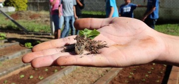 Inscrições abertas para o Jovem Agricultor do Futuro