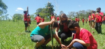 Alunos de projeto social participam do plantio de mudas nativas no Horto