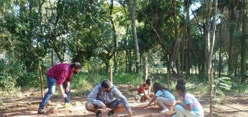 Projeto do Meio Ambiente cria horta orgânica no Horto Florestal