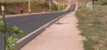 Projeto cria corredor verde em avenida da Vila Jardim