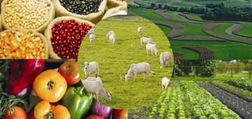 Prefeitura disponibiliza assessoria gratuita a produtores rurais
