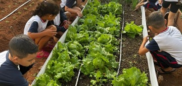 Horta escolar coloca alunos como protagonistas em projeto de educação ambiental