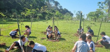 Meio Ambiente encerra ano com certificado em programa de gestão ambiental