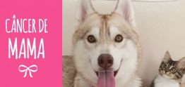 Avaré inicia Campanha para o câncer de mama em cães